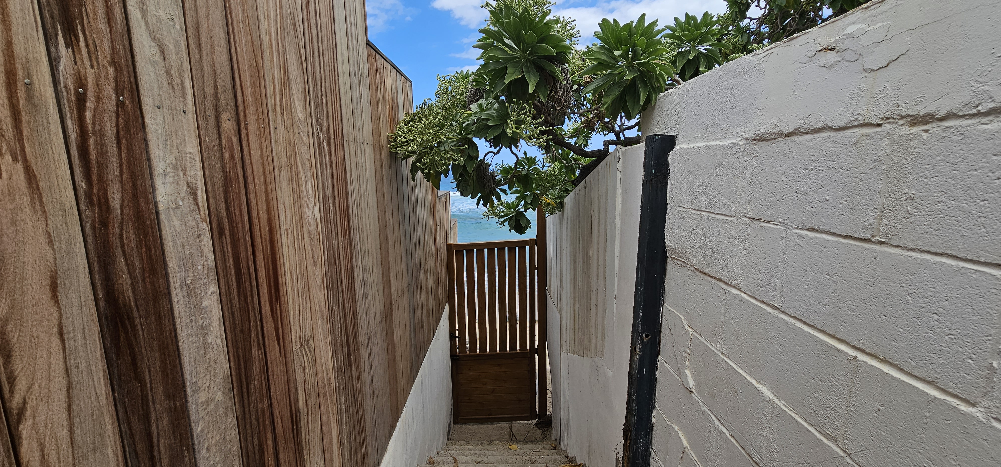 rue de sables, Réunion, 1 Bedroom Bedrooms, ,Appartement,À louer,rue de sables,1074