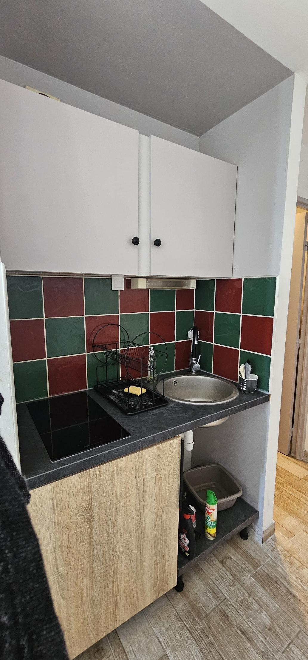 60 rue des tulipes, Réunion, 1 Bedroom Bedrooms, ,Appartement,À louer,Central fac 5,rue des tulipes,1148